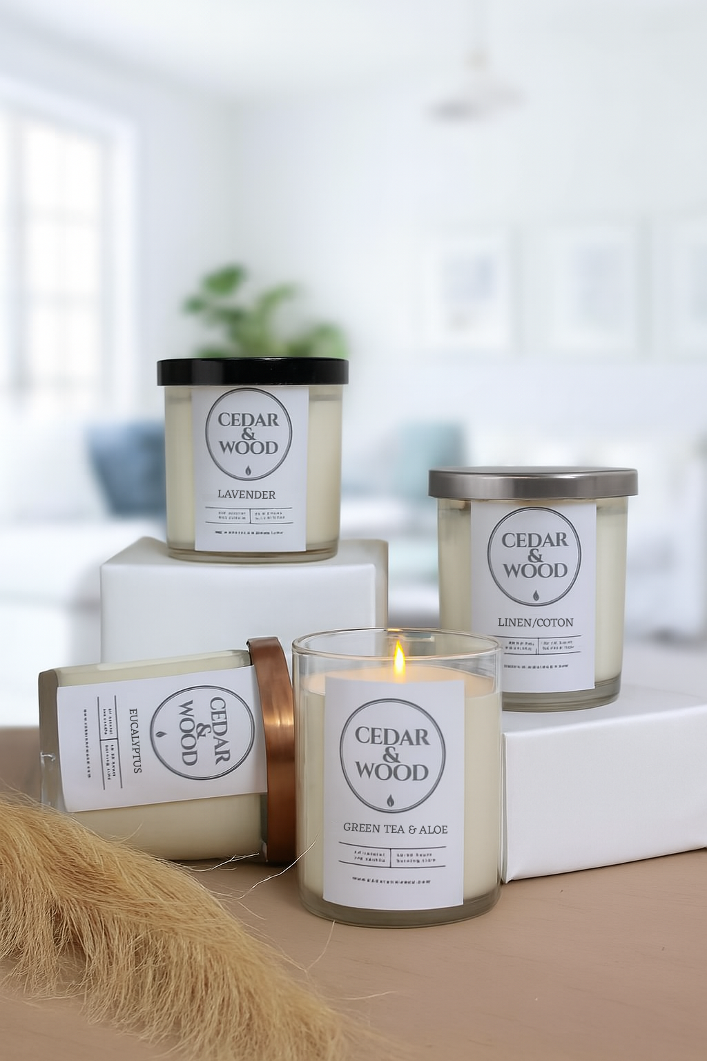 Fresh & Clean Scents