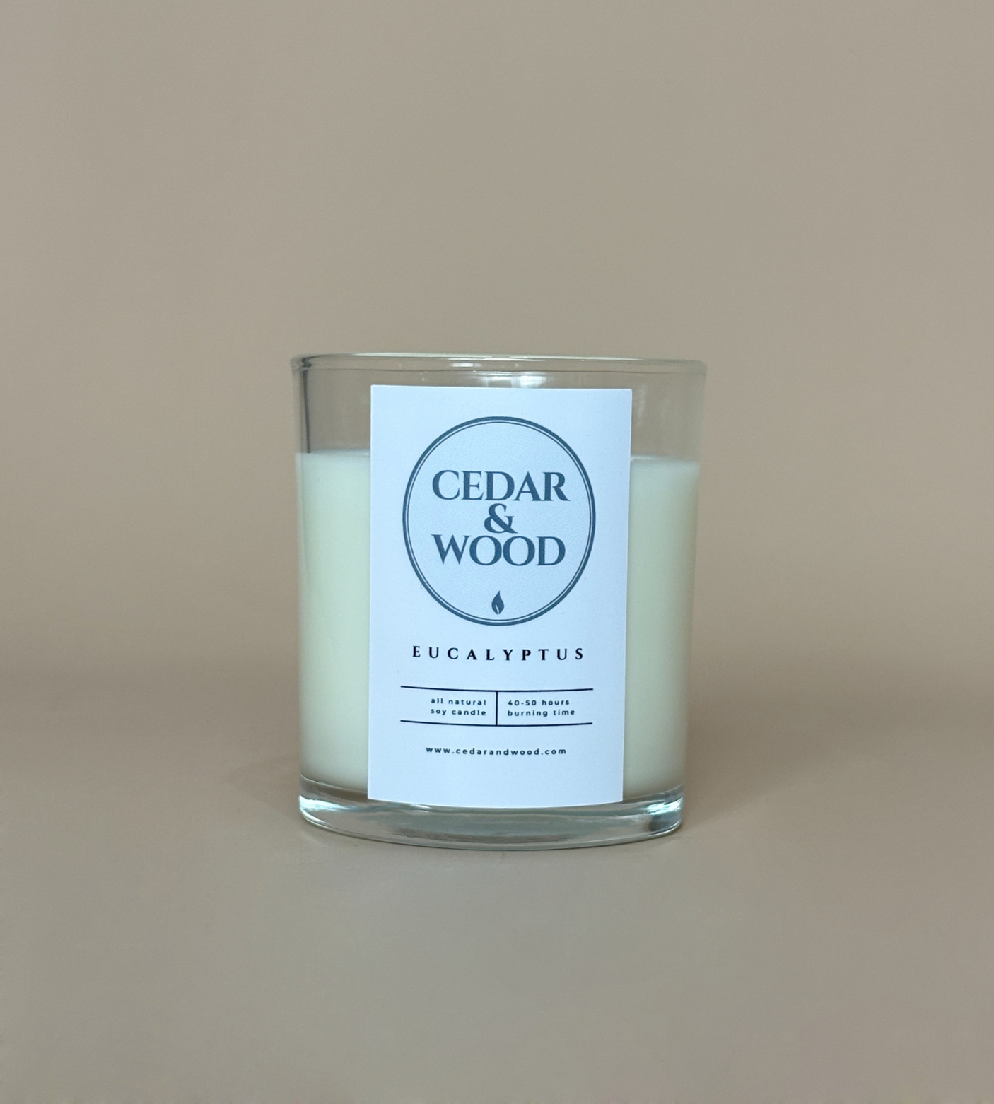 Eucalyptus Scented Candle