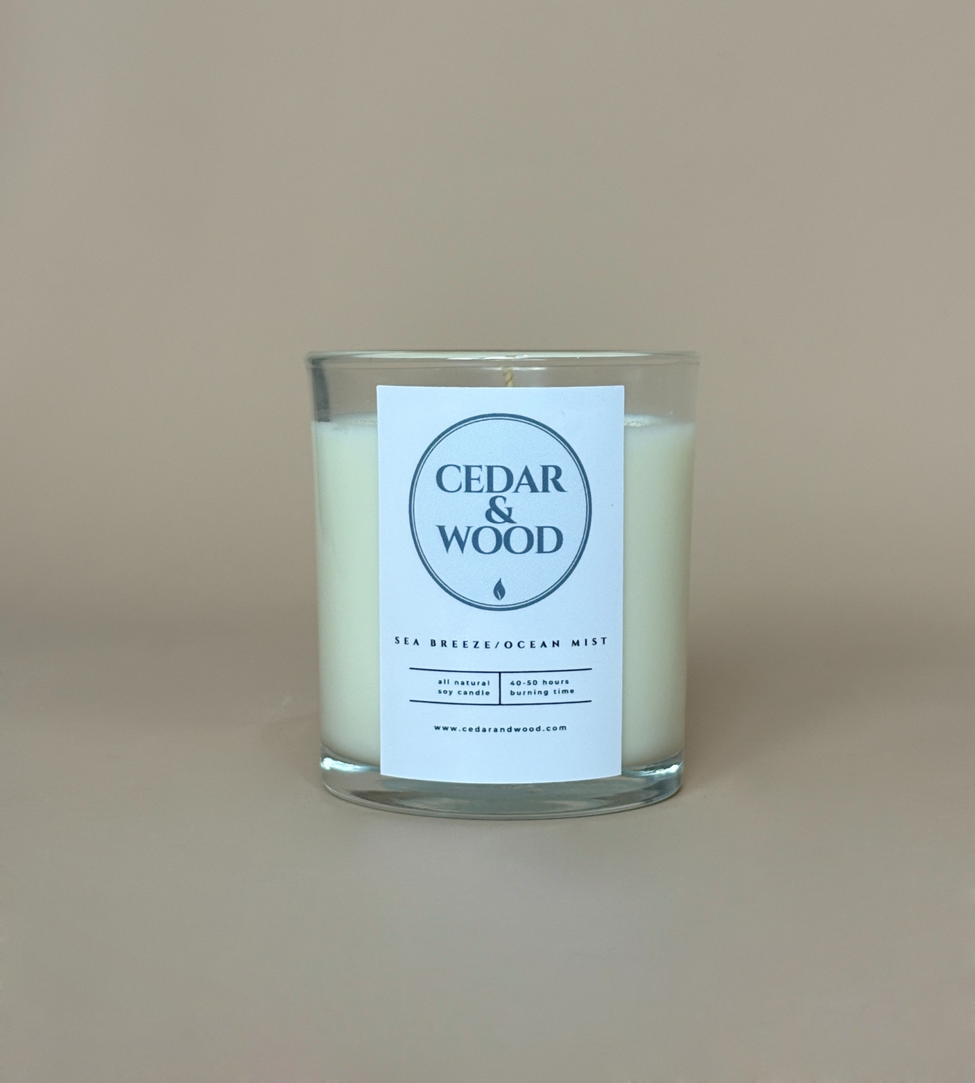 Sea Breeze/Ocean Mist Scented Candle