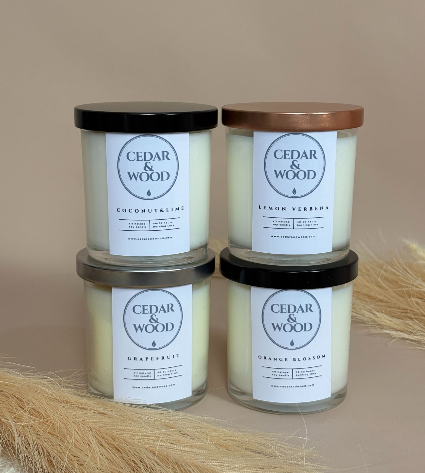 Citrus & Fruity Candle Bundle | 4 Refreshing Scents