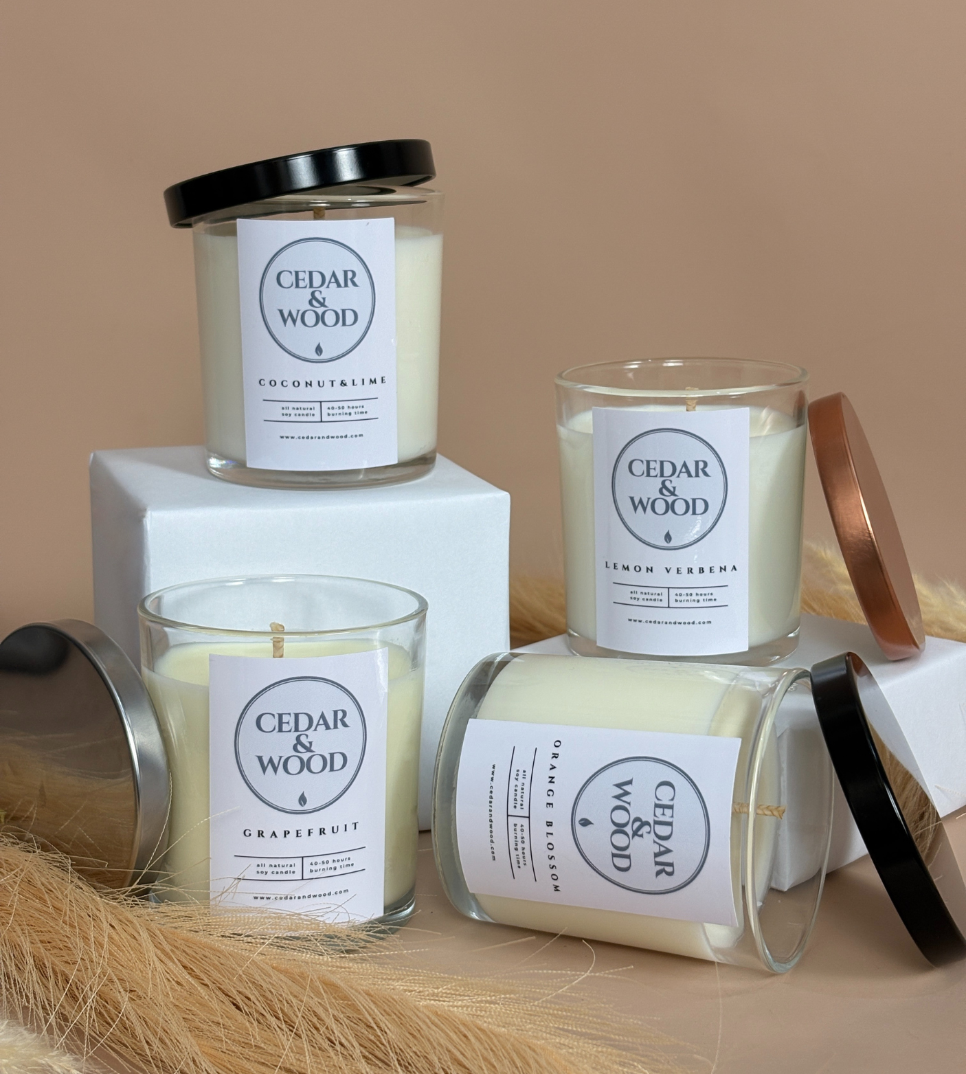 Citrus & Fruity Candle Bundle | 4 Refreshing Scents