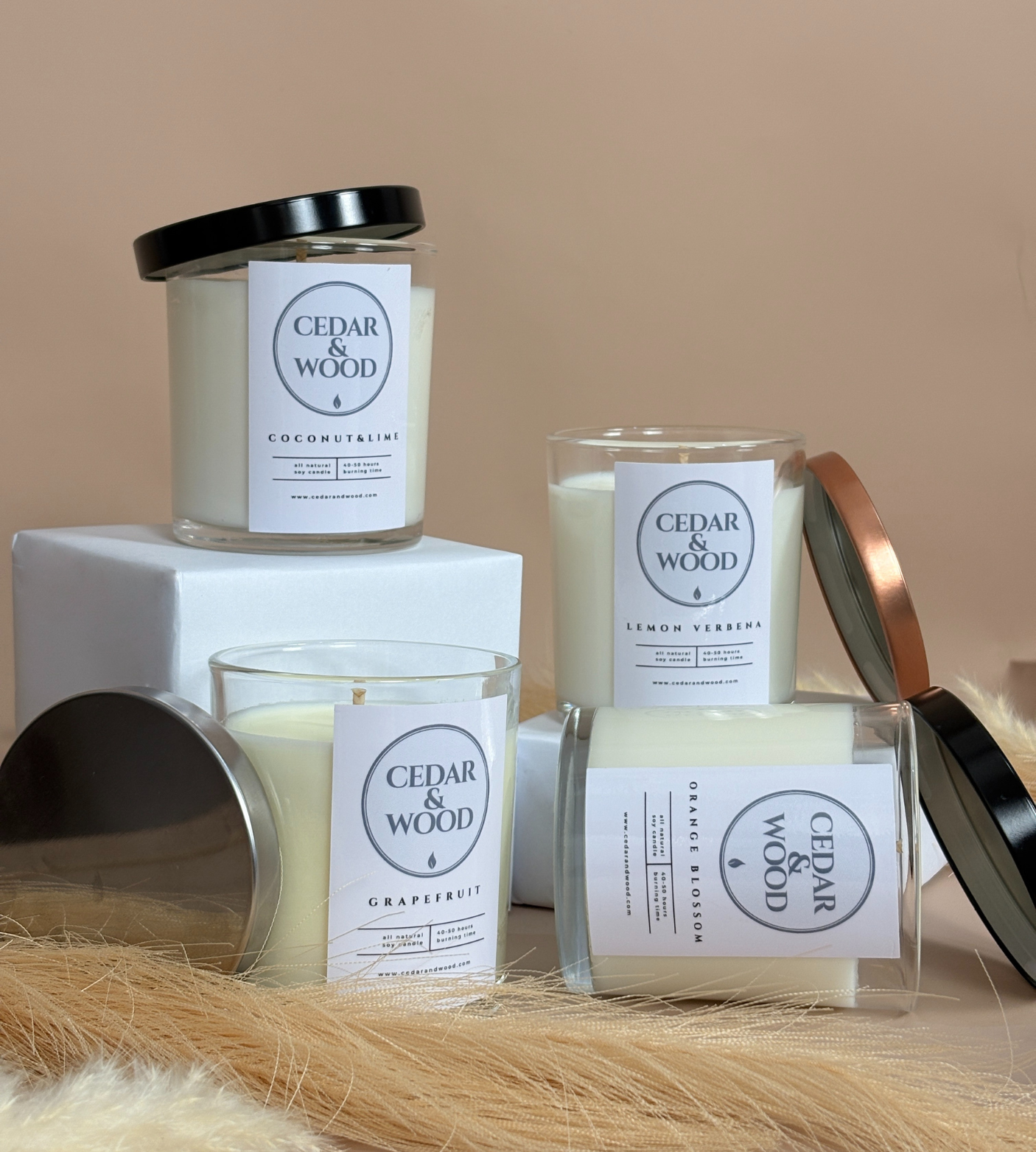 Citrus & Fruity Candle Bundle | 4 Refreshing Scents