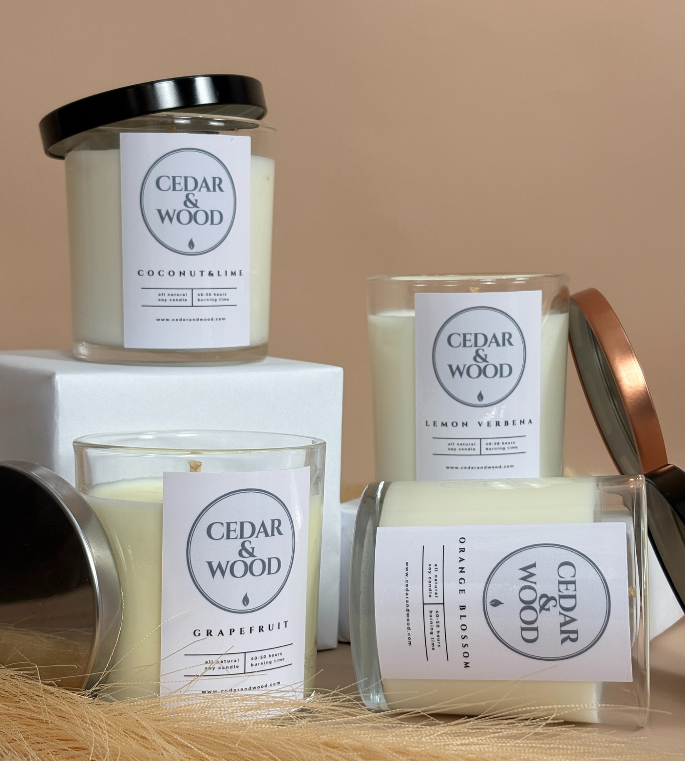 Citrus & Fruity Candle Bundle | 4 Refreshing Scents